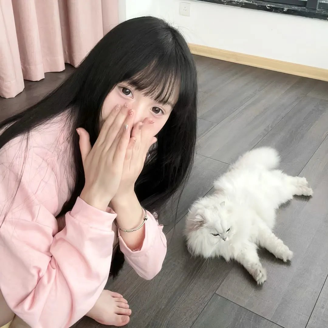金刚猎鹰2